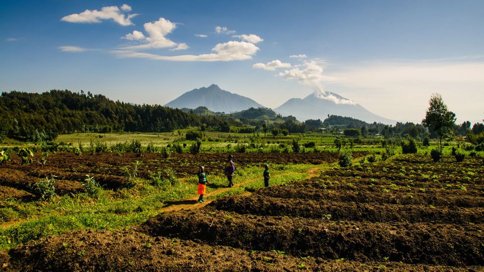 Ruanda renditet e gjashta në botë në indeksin Global të Hendekut Gjinor (Kredia: Michael Cook - Altai World Photography/Getty Images)