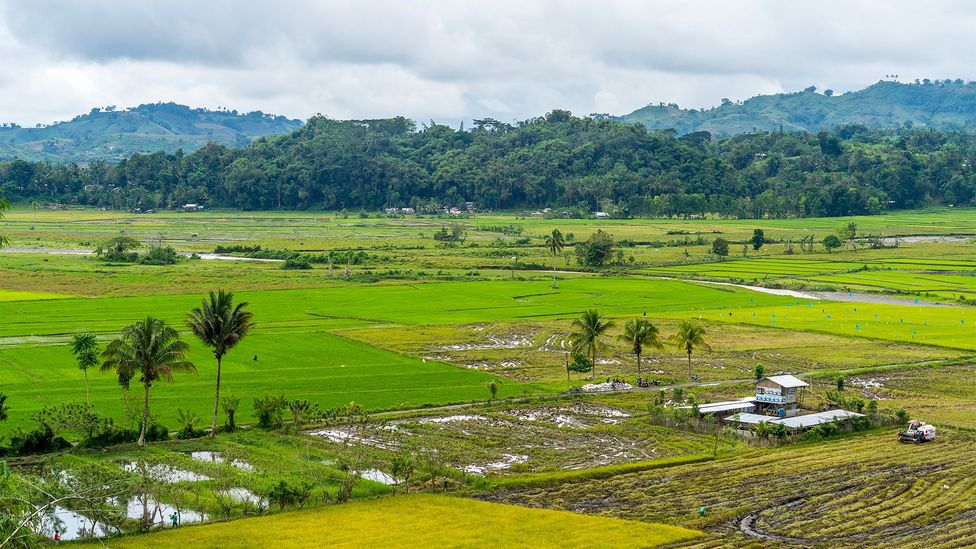 The Filipino islanders who weave their dreams