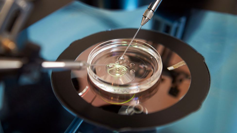 IVF treatment is offering hope to couples with fertility problems, but it is expensive and not available to everyone (Credit: Alamy)