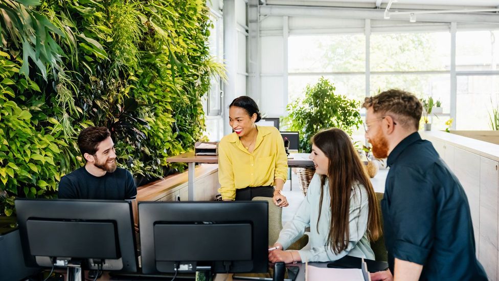 En el nuevo lugar de trabajo híbrido, toda la oficina tendrá una experiencia de empleado propia y holística (Crédito: Getty Images)