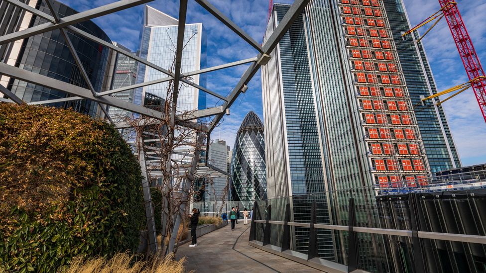 The Garden at 120 is the City of London's largest public rooftop space (Credit: Bella Falk)