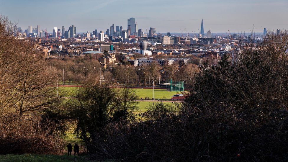 Parliament Hill is one of London's highest natural viewpoints (Credit: Bella Falk)