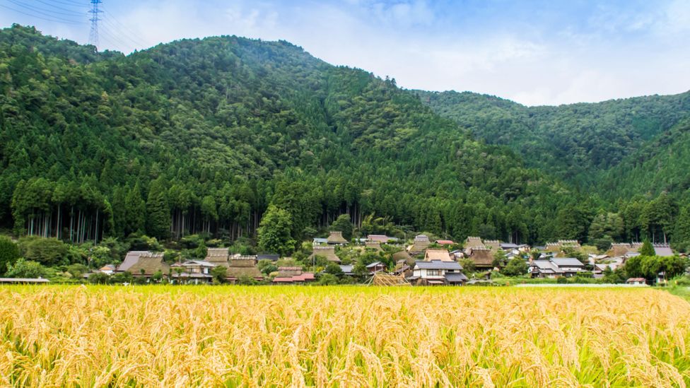 Cut off from the rest of the country, Miyama residents traditionally relied on agriculture and forestry (Credit: Kyoto Miyama Tourism Association)
