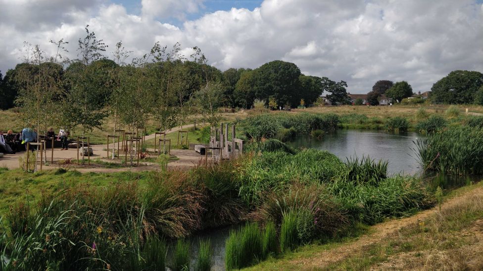 Firs Farm Wetlands stores 30,000 cubic metres of flood water, helping to protect local properties from flooding (Credit: Enfield Council)