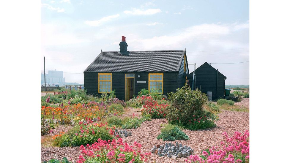 Prospect Cottage Garden at Dungeness, Kent was nurtured in harsh, windy conditions by filmmaker Derek Jarman (Credit: Howard Sooley, 1993)