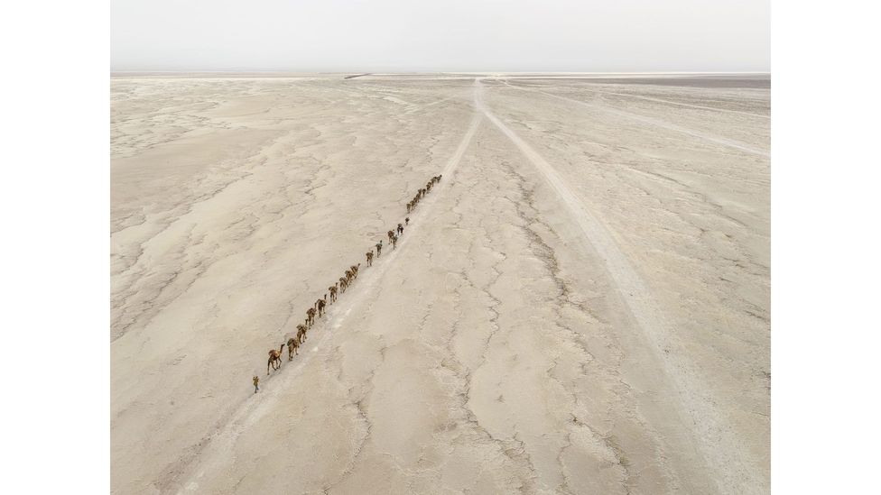 Camel Caravan #1, Danakil Depression, Ethiopia, 2018 (Credit: Edward Burtsynky, Nicholas Metivier Gallery, Toronto / Flowers Gallery, London)