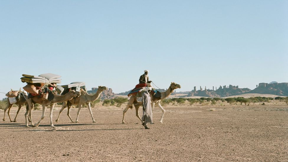 Reaching Ennedi involves taking a long camel caravan through the Sahara desert (Credit: Kate Eshelby)