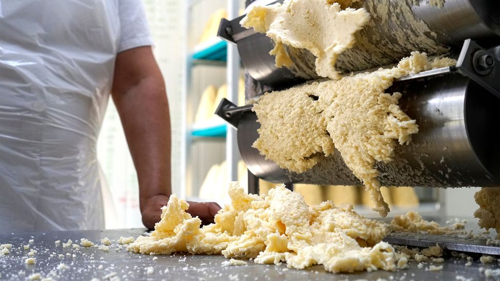 Dried cow's milk curd is fed through a rabilar (Credit: Linni Kral)