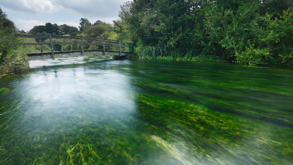 In Hampshire, part of the trail traces the crystal-clear River Itchen, one of only 200 chalk rivers in the world (Credit: James Osmond/Alamy)