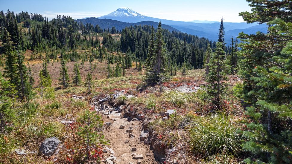 Hiking the Pacific Crest Trail requires careful preparation and planning (Credit: Alamy/Remarkable Treks)