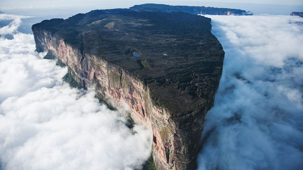 Mount Roraima is home to plants and animals found nowhere else on Earth (Credit: Alamy/Remarkable Treks)