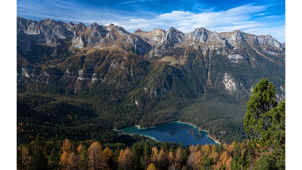 The Adamello Brenta Natural Park in Trentino, Italy, which has been home to a growing brown bear population (Credit: Getty Images)