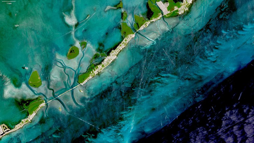 Satellite image of coral bleaching at Islamorada, Florida (Credit: European Union/Copernicus Sentinel-2)