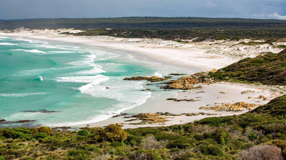 The four-day hike traverses one Australia's most beautiful stretches of coastlines (Credit: Jillian Mundy)