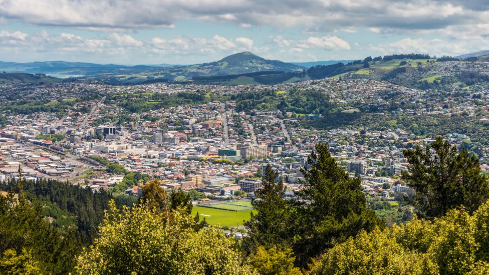 Six of the best ways to immerse yourself in nature around Dunedin BBC