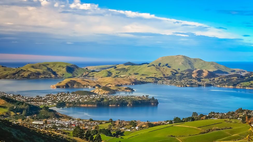 Dunedin town and bay seen from the hills above