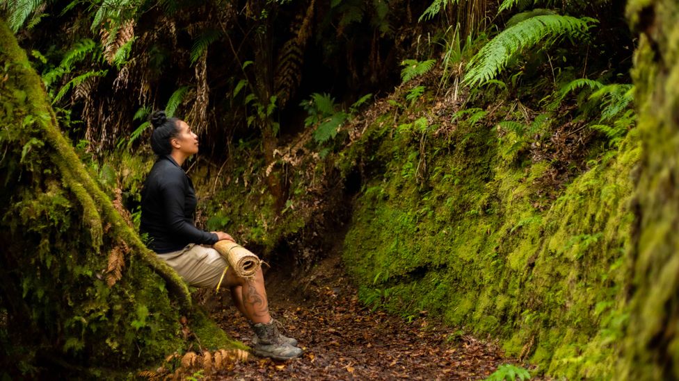 Person sitting in NZ rainforest on Whirinaki Forest Footsteps
