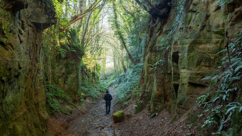 Man walking in holloway in Dorset