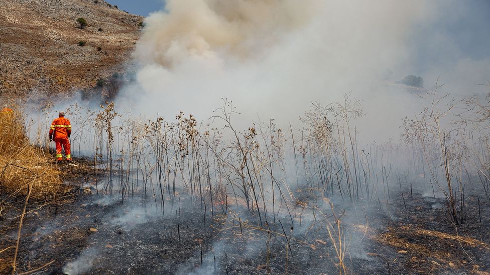 Wildfires The changing face of the Mediterranean landscape BBC Future