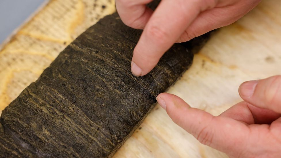 A scientist points at a Canadian lake core sample to indicate the Anthropocene period (Credit: Getty Images)