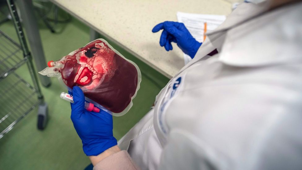 A laboratory worker carries a sample of umbilical cord blood (Credit: Getty Images)