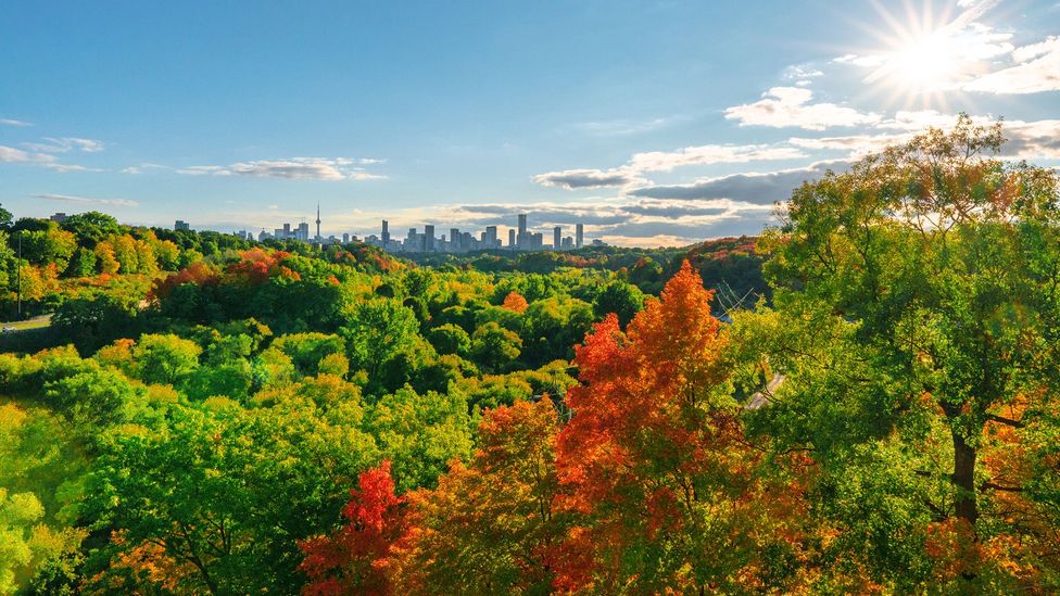 Canadians love the strong connection that the nation has to the outdoors (Credit: Orchidpoet/Getty Images) Canadians love the strong connection that the nation has to the outdoors (Credit: Orchidpoet/Getty Images)