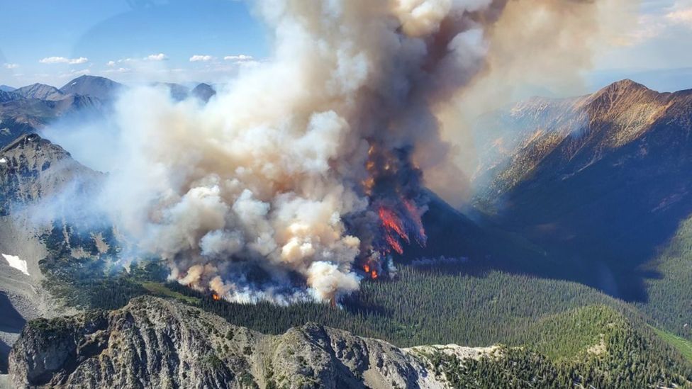 In Canada, extreme fires blazing across the country are more widespread than at any other time on record (Credit: BC Wildfire Service/Getty Images)