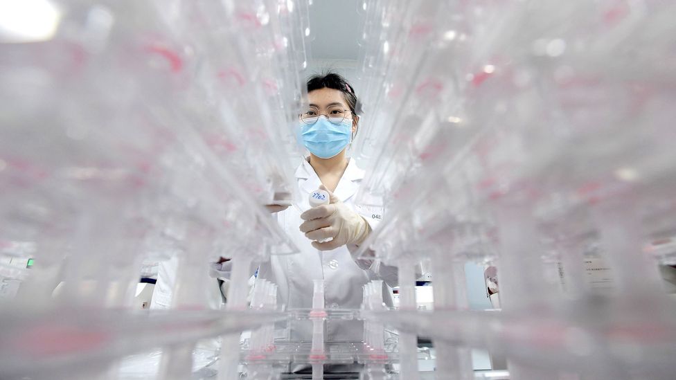 A laboratory technician screens cancer samples (Credit: Getty Images)