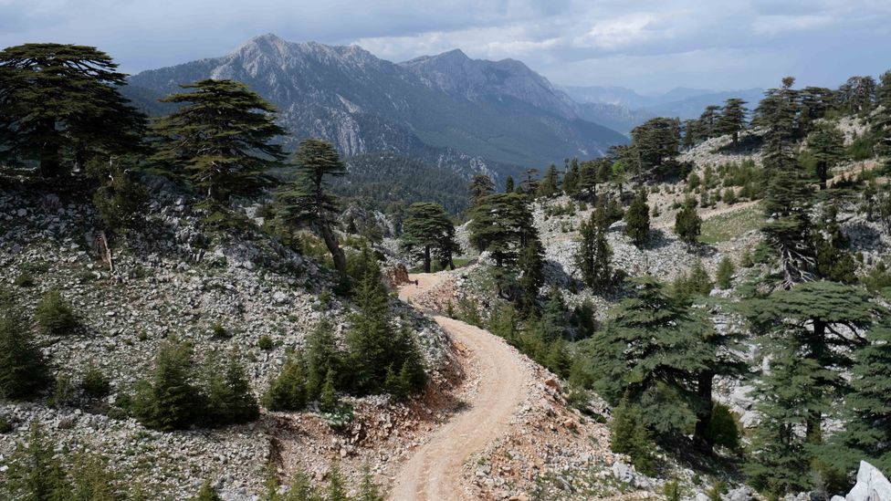 Path on the Lycian Way, Turkey