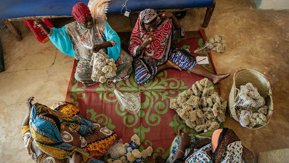 Sea sponge farming has helped women in Jambiani break free from their financial dependence on men (Credit: Lauraclara Cosmas)