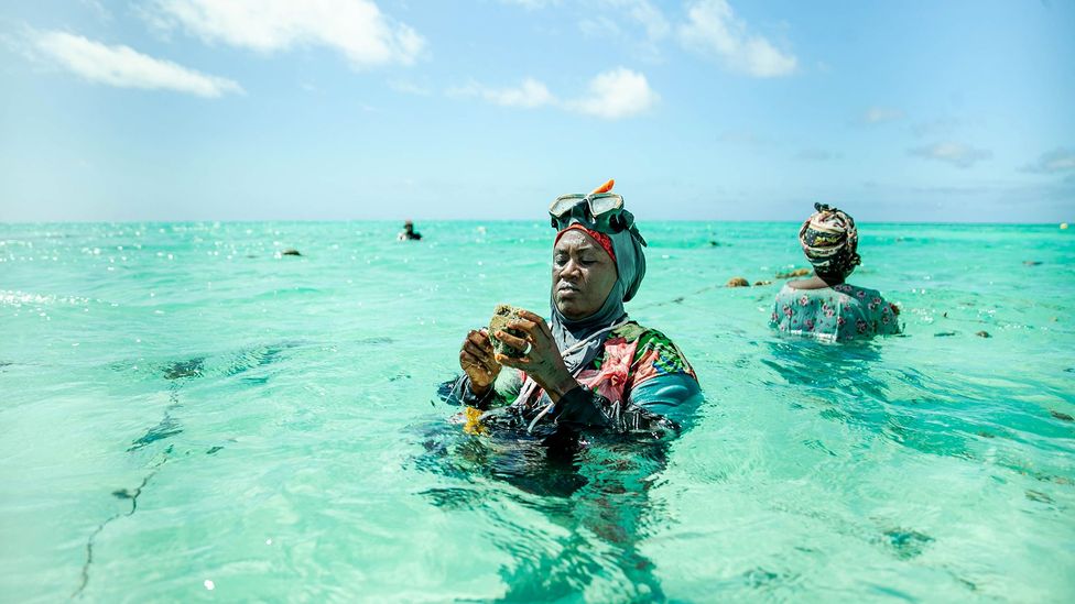 Nasir Hassan Haji says sponge farming is helping redefine traditional gender roles in Jambiani, Zanzibar (Credit: Lauraclara Cosmas)