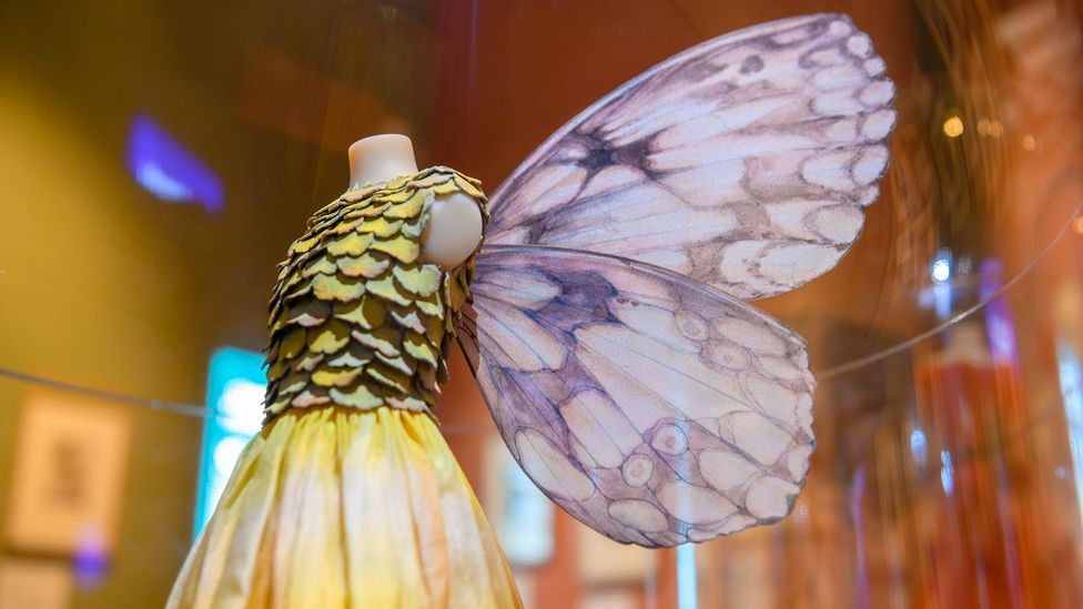 The costumes displayed in the exhibition are based on the Flower Fairies illustrations (Credit: Pete Carr)