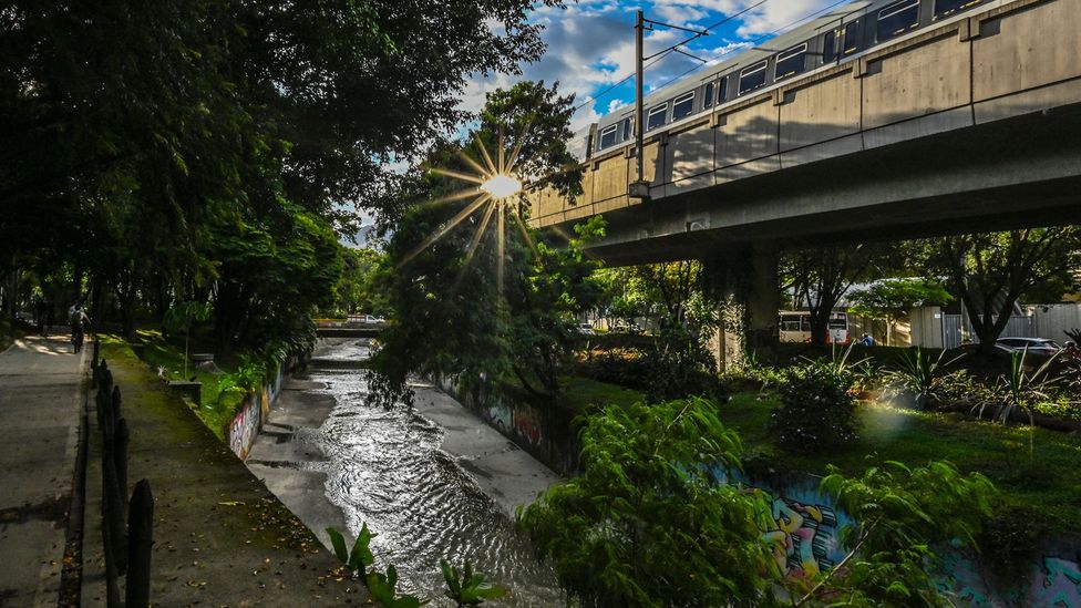 Many of the gardeners who maintain the green corridors were displaced by armed conflict in Colombia (Credit: Getty Images) Many of the gardeners who maintain the green corridors were displaced by armed conflict in Colombia (Credit: Getty Images)
