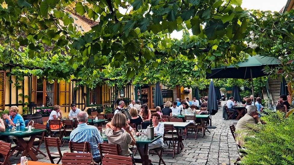 Around 70% of Vienna's annual wine yield is drunk at the capital's Heurigen (Credit: brandstaetter images/Getty)