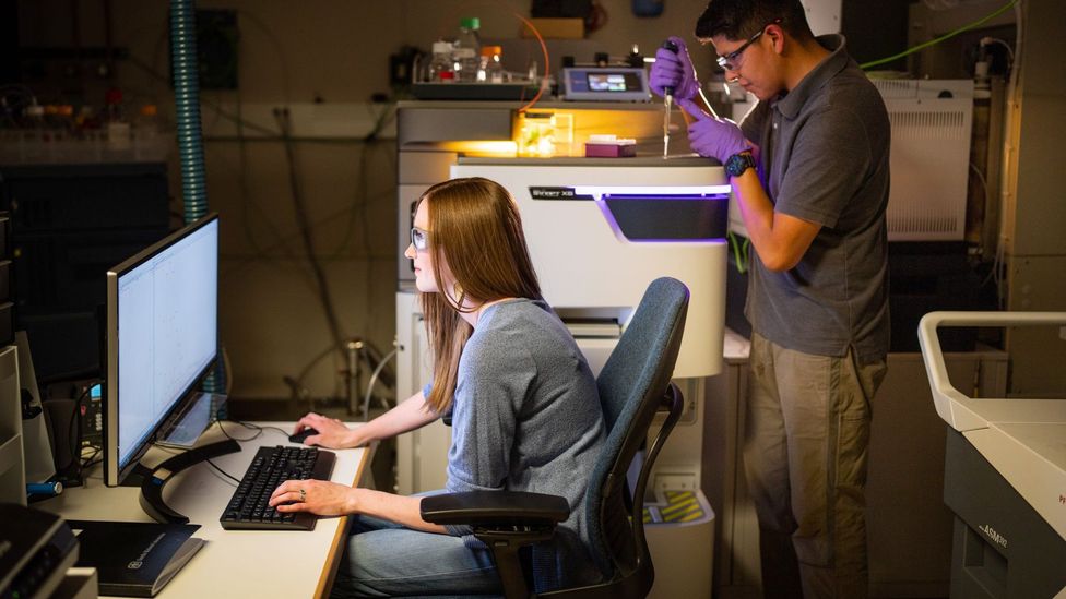 Sandia National Laboratories scientists Jessica Kustas and Andre Benally are working on a filtration system able to capture a wide range of PFAS (Credit: Craig Fritz) Sandia National Laboratories scientists Jessica Kustas and Andre Benally are working on a filtration system able to capture a wide range of PFAS (Credit: Craig Fritz)