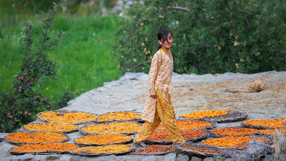 The Hunza diet is instinctively reliant on fruit (Credit: Jinho Choi/Alamy)
