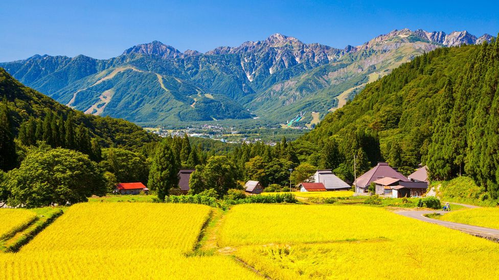 There's a culture of welcoming everyone in the village of Hakuba (Credit: Norikazu Satomi/Alamy)