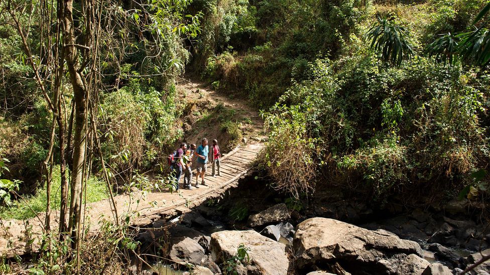 Nestled in the eponymous forest, Lephis is a paradise for trekkers and nature-lovers (Credit: Ariadne Van Zandbergen/Alamy)