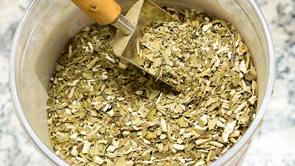 Three of the most popular foods in Argentina have started to incorporate yerba mate (Credit: Federico Julien/Alamy)