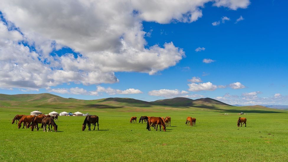 The ability to ride horses and shoot the bow was one of the Xiongnu's main skills (Credit: janetteasche/Alamy) The ability to ride horses and shoot the bow was one of the Xiongnu's main skills (Credit: janetteasche/Alamy)