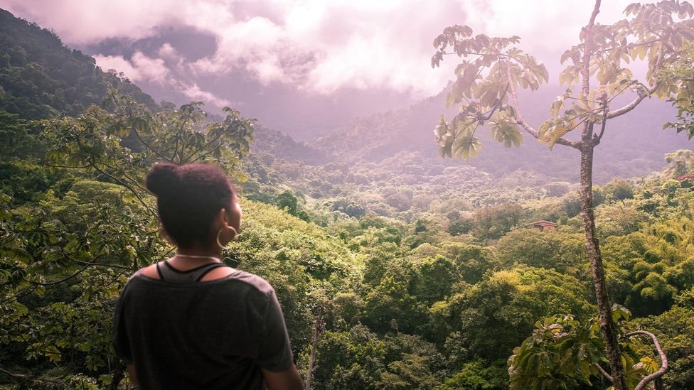 Kogi person in Minca, Colombia