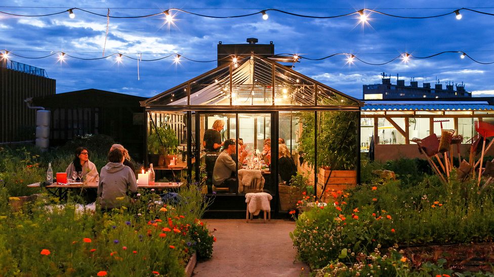 Uncover Copenhagen's best New Nordic restaurants (beyond Noma) BBC Travel