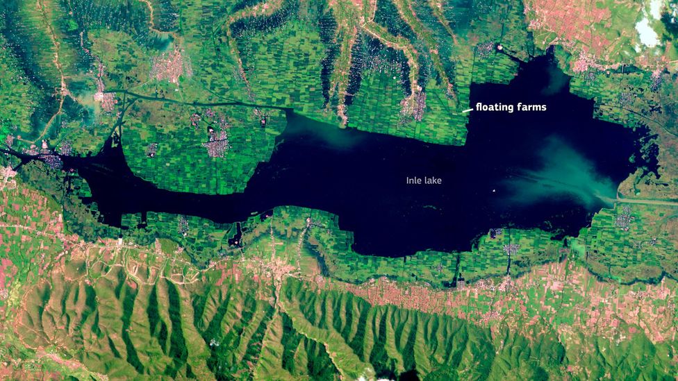 Floating farms have dramatically decreased the surface areas of Inle Lake in Myanmar (Credit: EU/Copernicus Sentinel-2)