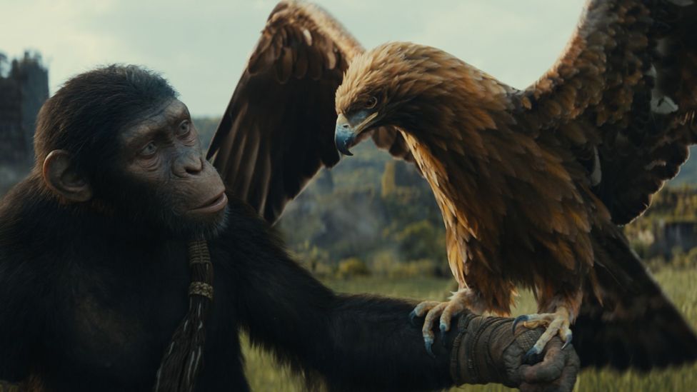 Kingdom of the Planet of the Apes (Credit: Walt Disney Studios)