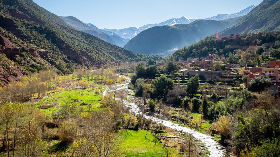 Tours are returning to areas less affected by the 2023 earthquake, such as the Ourika Valley (Credit: Eloi_Omella/Getty Images)