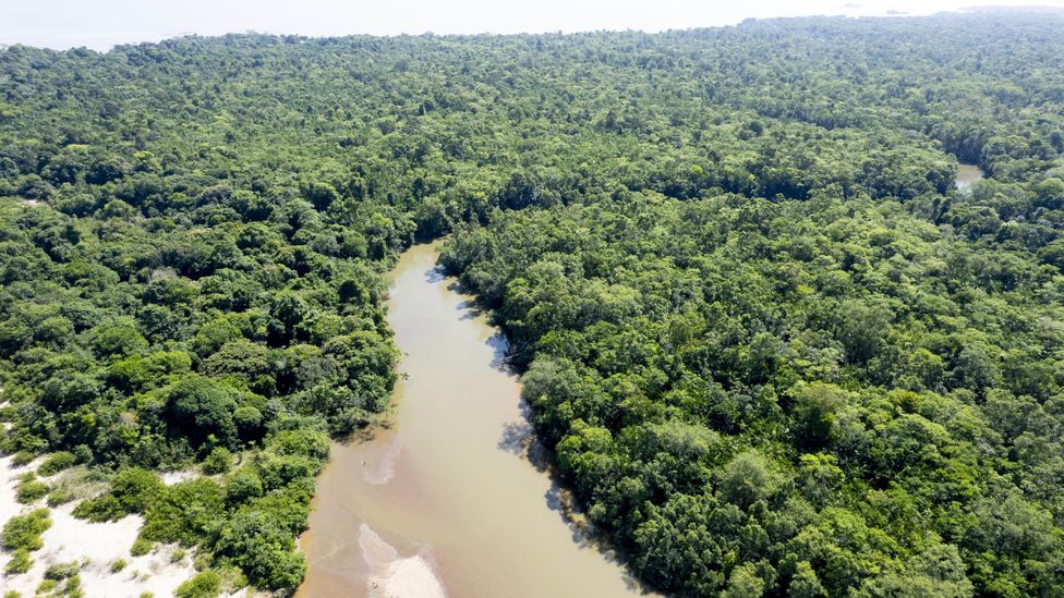 Amazonian dark earth has been estimated to cover 0.1%-10% of the Amazon basin (Credit: Getty Images)