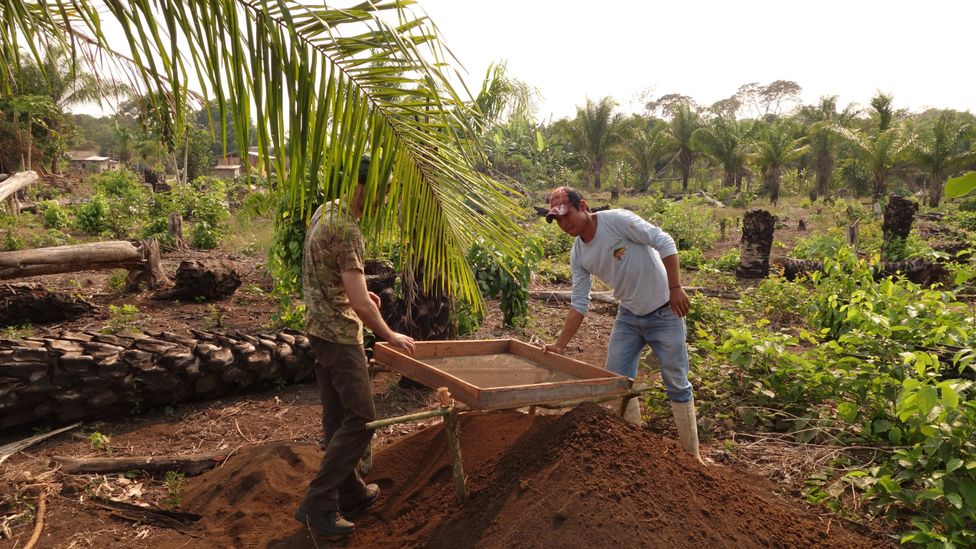 In the village of Versalles, the indigenous Itonama community still use the fertile Amazonian dark soil to grow crops (Credit: Mark Robinson)