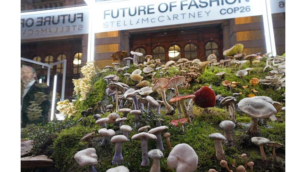 At the Cop 26 summit there were talks and exhibits emphasising the importance of mushrooms and fungi in sustainable fashion (Credit: Getty Images)