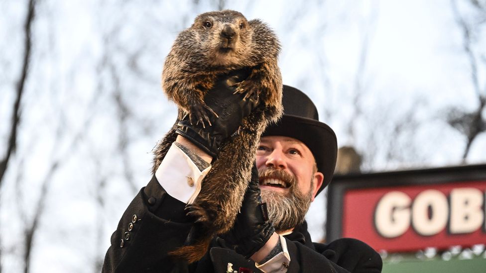 A man wearing a top hat holds up a furry brown rodent called a groundhog (Credit: Getty Images)