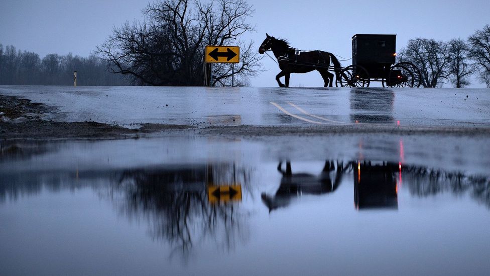 An Amish buggy in Middlebury, Indiana. Using horse-drawn buggies is part of the Amish concept of plainness, which also includes speaking Pennsylvania Dutch (Credit: Getty Images) An Amish buggy in Middlebury, Indiana. Using horse-drawn buggies is part of the Amish concept of plainness, which also includes speaking Pennsylvania Dutch (Credit: Getty Images)